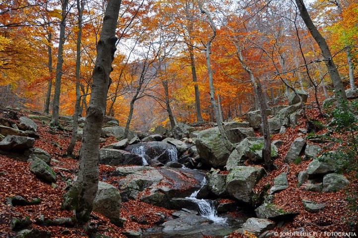 Sortida al Montseny (2016)