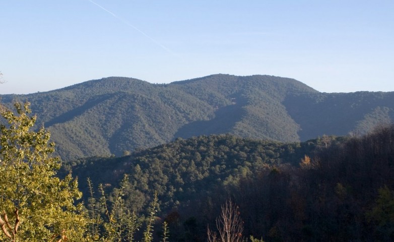 Sortida de Tardor: Passejada per Fuirosos i les mines del Montsant (Montengre)