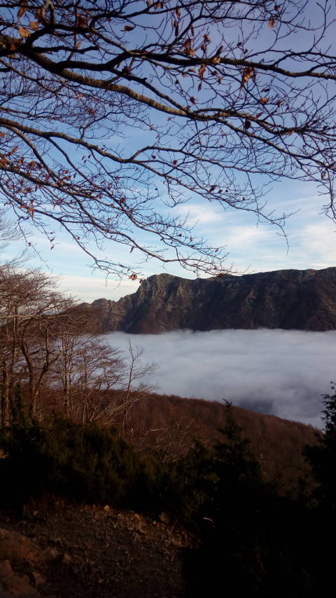 Sortida al Montseny (2018)